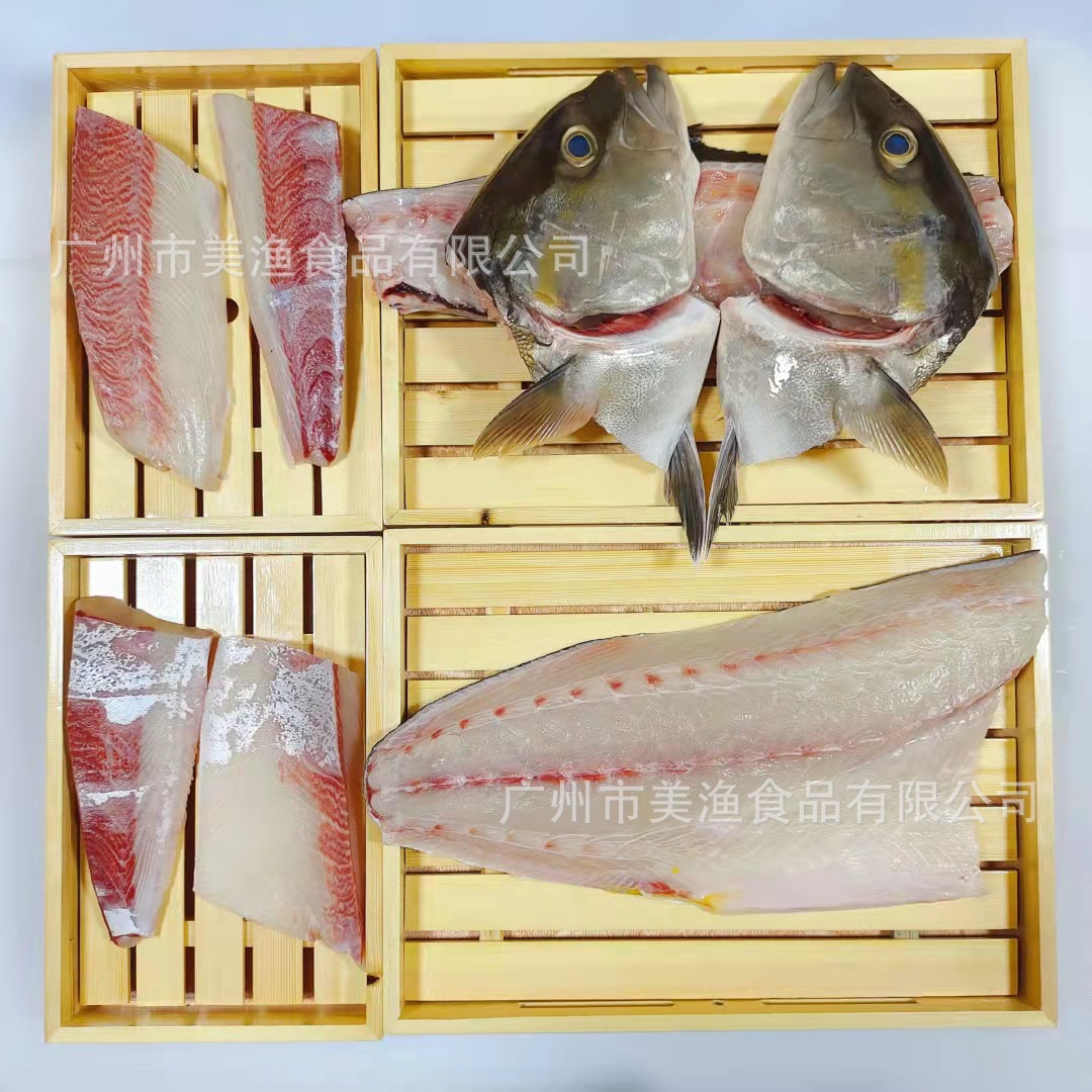鲜活章红鱼 放血整条出南油台红甘海鱼鰤鱼刺身冰鲜鱼 2-4kg斤/条