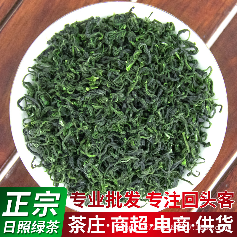 正宗日照绿茶春茶新茶浓香型山东板栗香炒青绿茶香茶茶厂批发