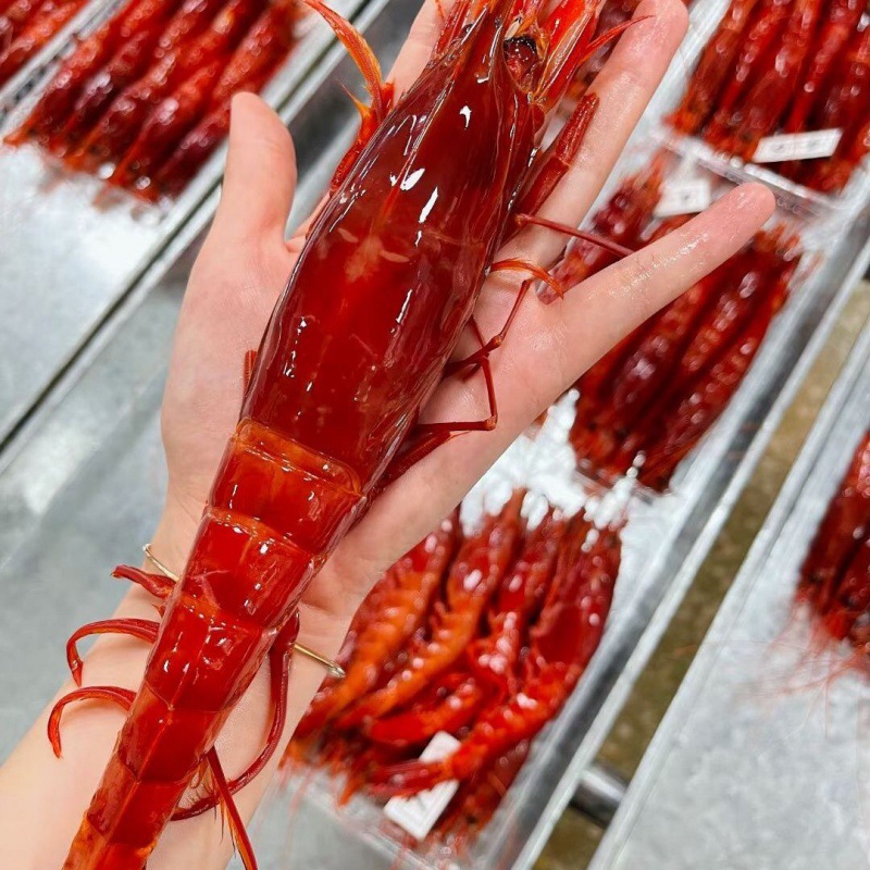 红魔虾特大刺身生腌冷冻新鲜胭脂超大莫桑比克顺丰包邮独立站批发