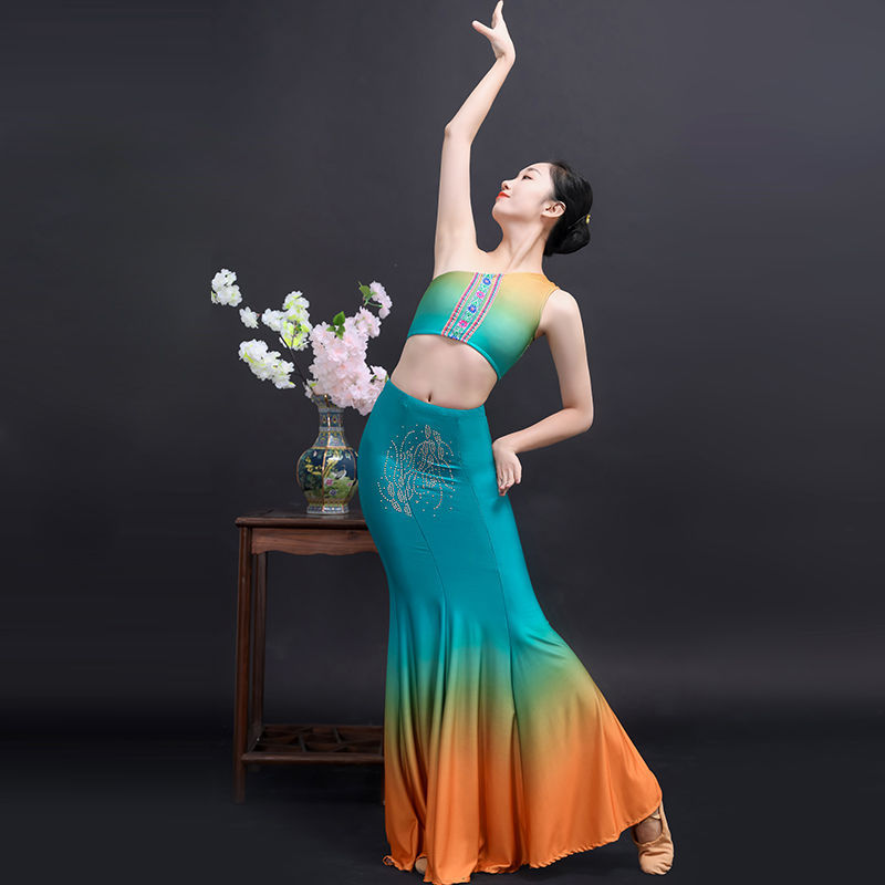 傣族舞蹈演出服练功裙表演服女傣族舞裙孔雀舞鱼尾半身裙艺考服装