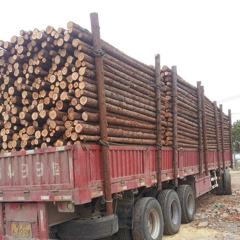 杉木桩 防洪木桩 河道打桩木 厂家批发￥1100