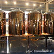 帕伦苏自动啤酒发酵罐自酿国啤加工设备 精酿啤酒生产线 厂家直供