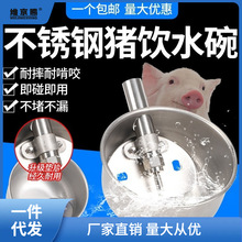 猪用水碗饮水器不锈钢吸水器碗式育肥猪水咀触碰式节约防溅水位萝