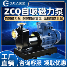 ZCQ不锈钢自吸磁力驱动泵 304耐酸碱高低温循环泵防爆化工泵厂家