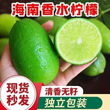 海南无籽香水柠檬新鲜青柠檬奶茶店专用当季大果暴打整箱一件批发