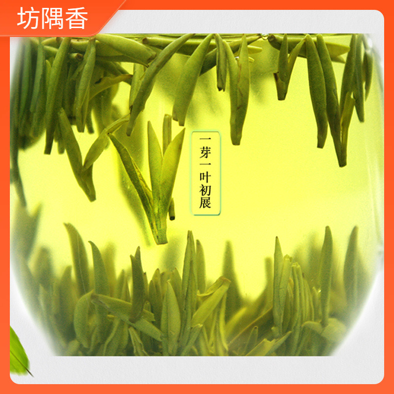 2024蒙顶黄芽新茶黄茶头采嫩芽茶叶四川蒙顶山茶高山茶叶包邮50g