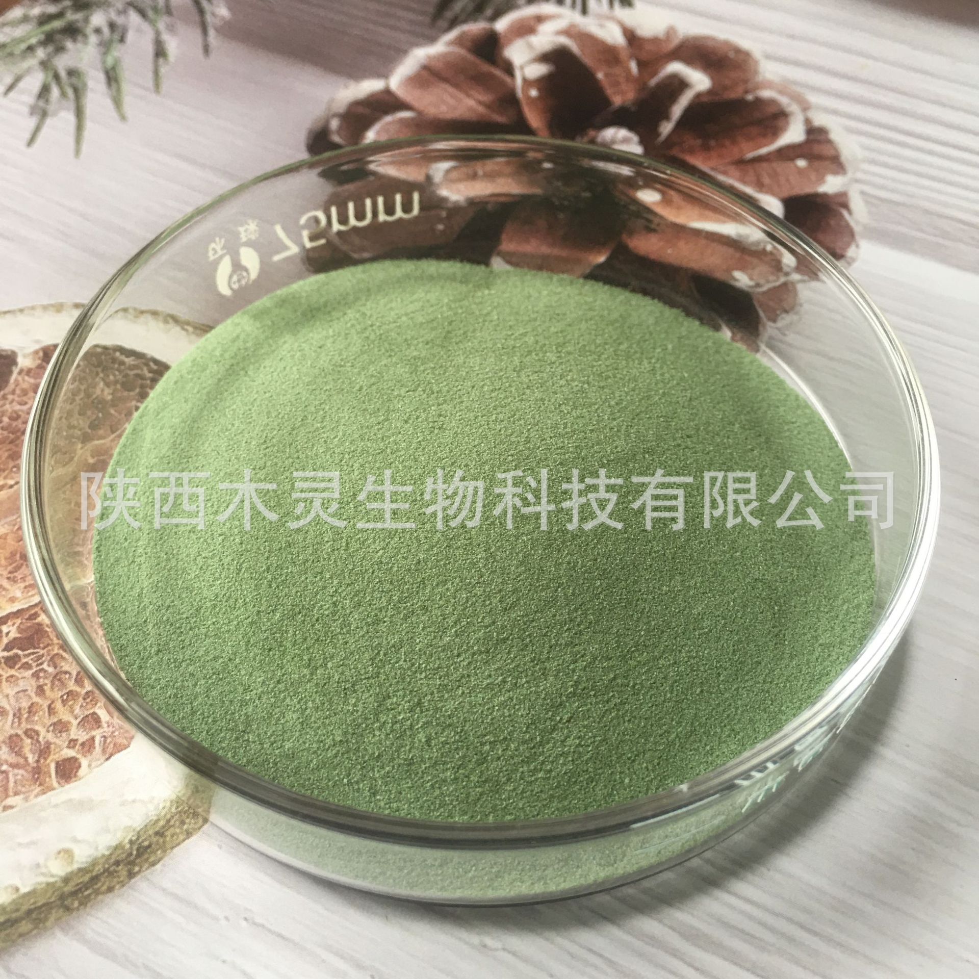 SC厂家水溶菠菜粉果蔬粉植物提取物量大从优果粉