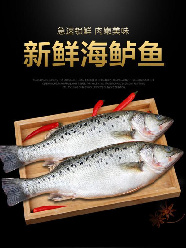 海鲈鱼新鲜冷冻海鱼鲜活深海鱼3条七星鱼海鲜水产海产品冰鱼卢鱼