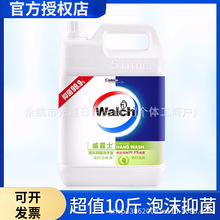 批发威露士泡沫洗手液5L补充液大桶装乳液型福利家庭酒店幼儿园