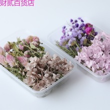 N6RS飞鱼手作 超值干花盒  香薰蜡烛 蜡牌蜡片 手工 蜡烛DIY材料