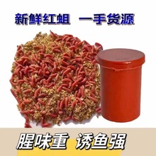 冰钓鱼蛆活蛆红色蛆虫鱼饵苍蝇宝宝鱼饵白蛆钓小公鱼肉蛆牙子蛆虫