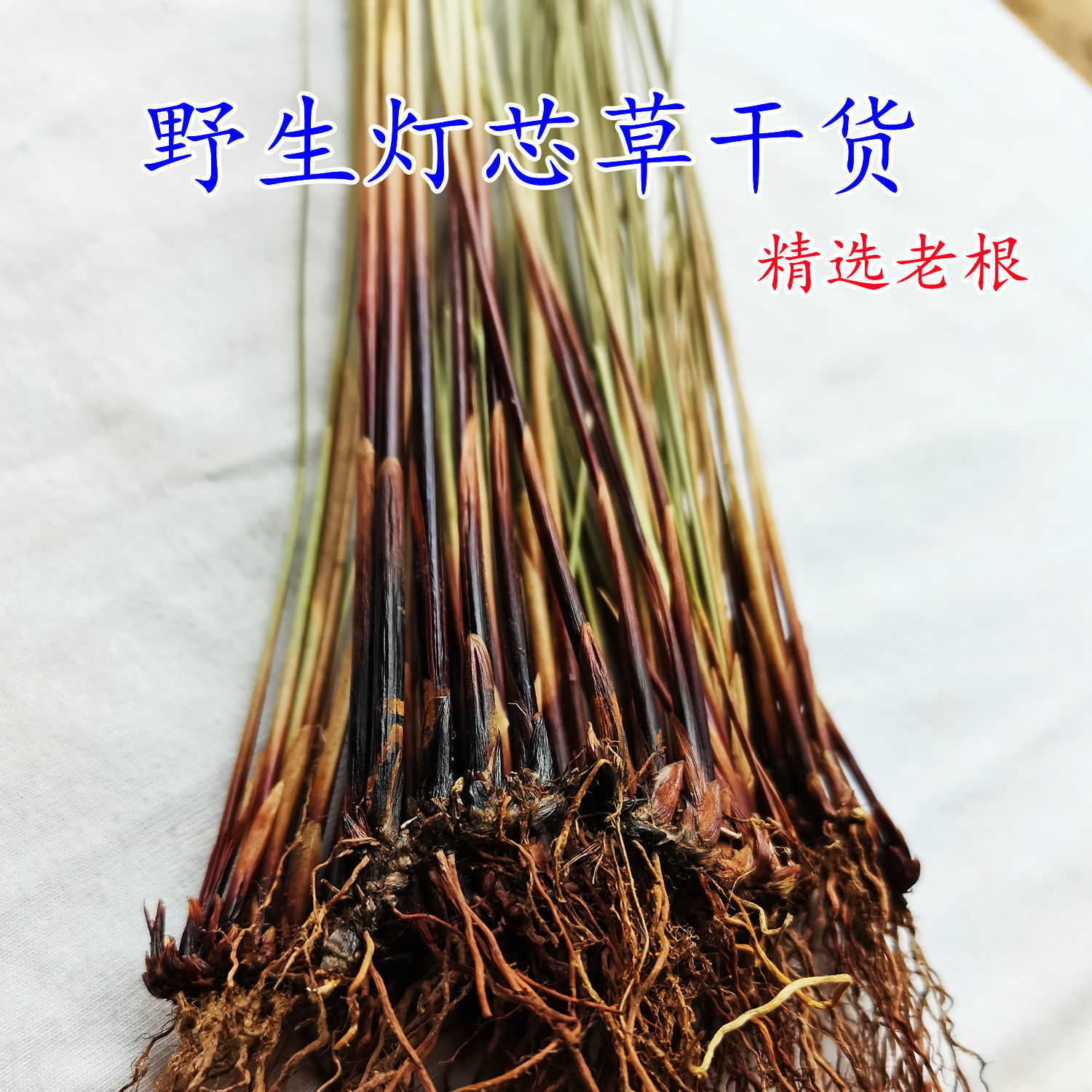 灯心草灯芯草龙须草干货煲汤整株全草含根晒干灯草