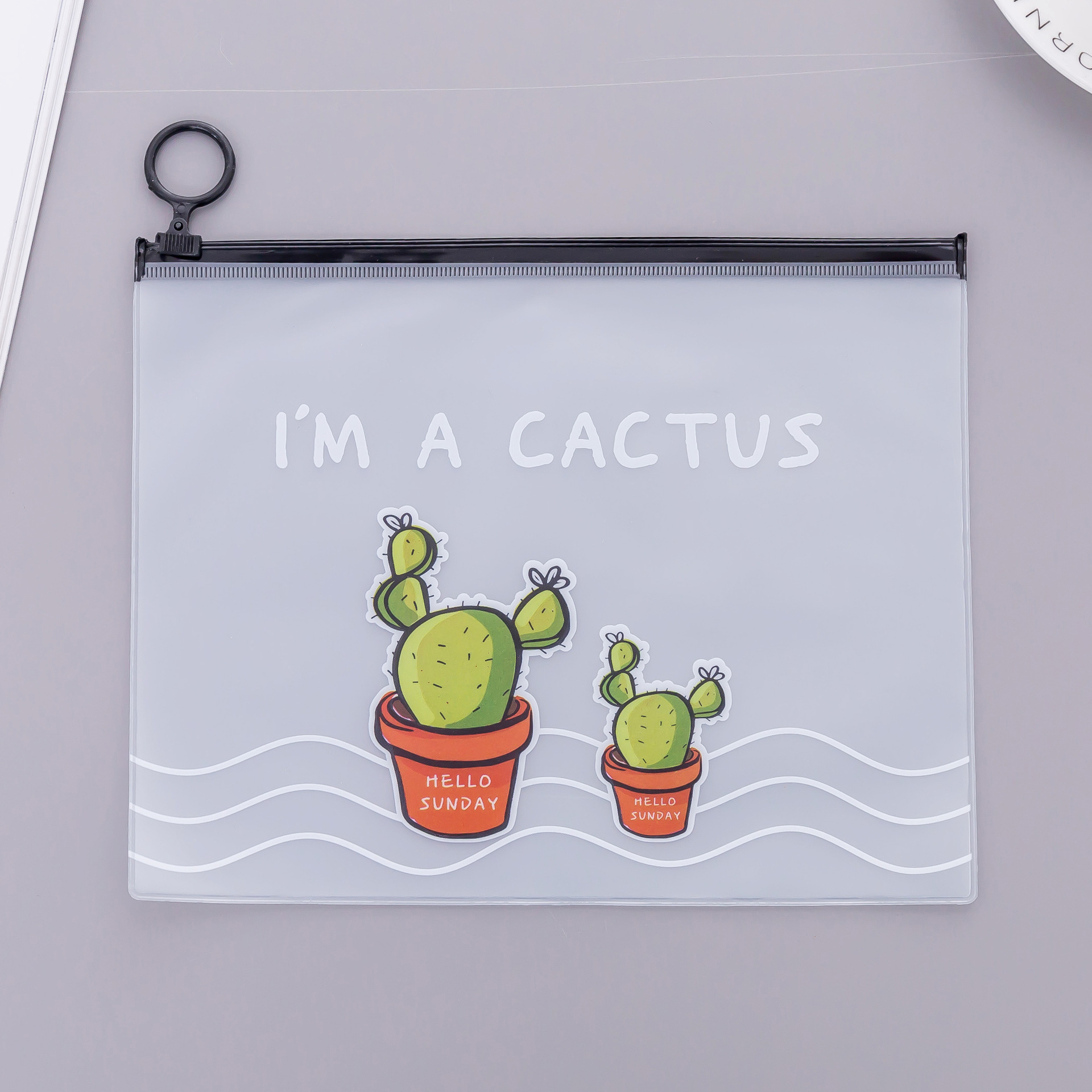 Creative Cute Cactus Pencil Case Translucent Frosted Zipper Buggy Bag Sundries Student Stationery Wholesale Factory