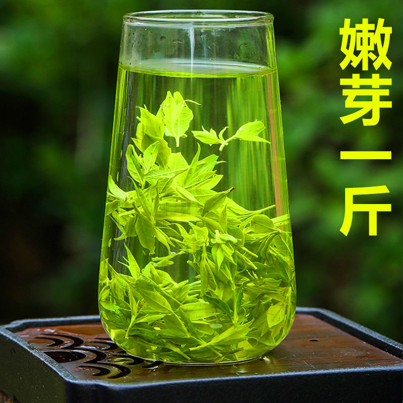 【嫩芽一斤】小叶苦丁茶 茶叶青山绿水 四川毛尖茶野生绿茶500g