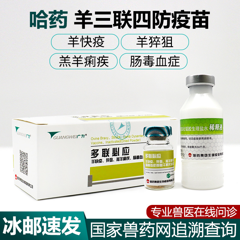 羊多联必应羊三联四防羊快疫猝狙羔羊肠毒血症羊用疫苗干粉20头份