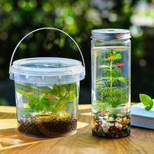 初中生物生态瓶diy材料自循环微景观科学作业生态玻璃鱼缸免路师