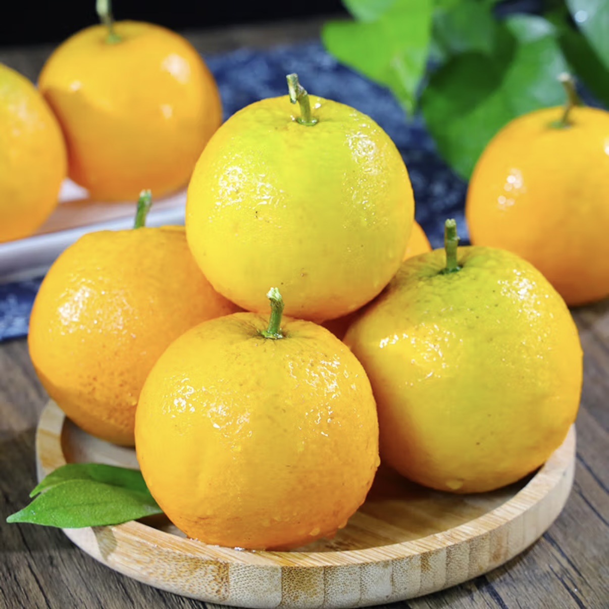 夏橙鲜橙酸甜口感鲜榨果汁摆摊果园直发新鲜采摘