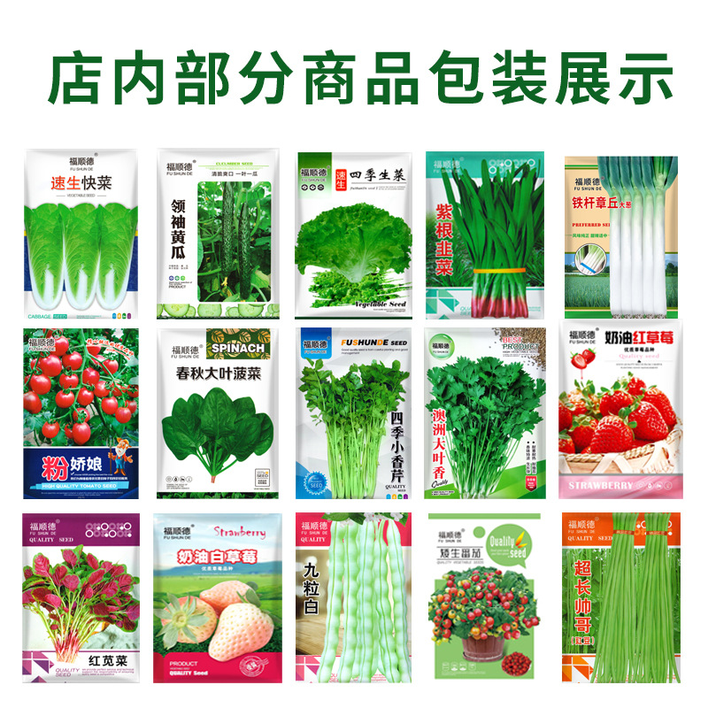 蔬菜种子批发辣椒种子茄子西红柿青菜四季阳台盆栽春季蔬菜种籽
