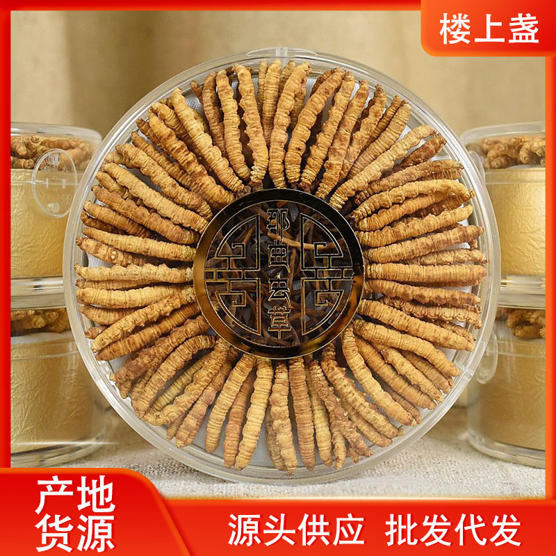 西藏那曲冬虫夏草干货虫草礼盒装批发冻干虫草精选干