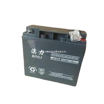 滨力蓄电池np12-24ah 12v24ah铅酸免维护太阳能直流屏ups电源eps