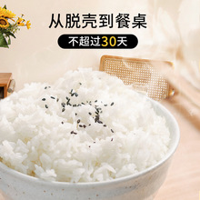 香稻贡米10斤包装袋东北大米2023新米黑龙江珍珠香米5kg珍珠米