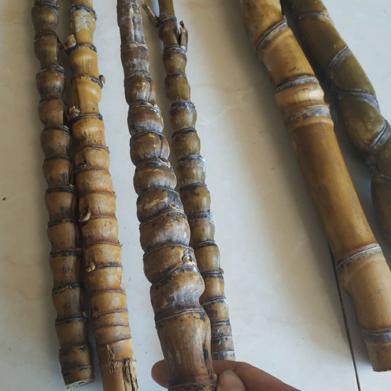 原料料车烟杆炮台珠子竹毛笔拐杖扇骨原材材料造型竹节罗汉原材料