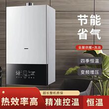 燃气壁挂炉 家用采暖炉 取暖生活用水两用 厂家直销