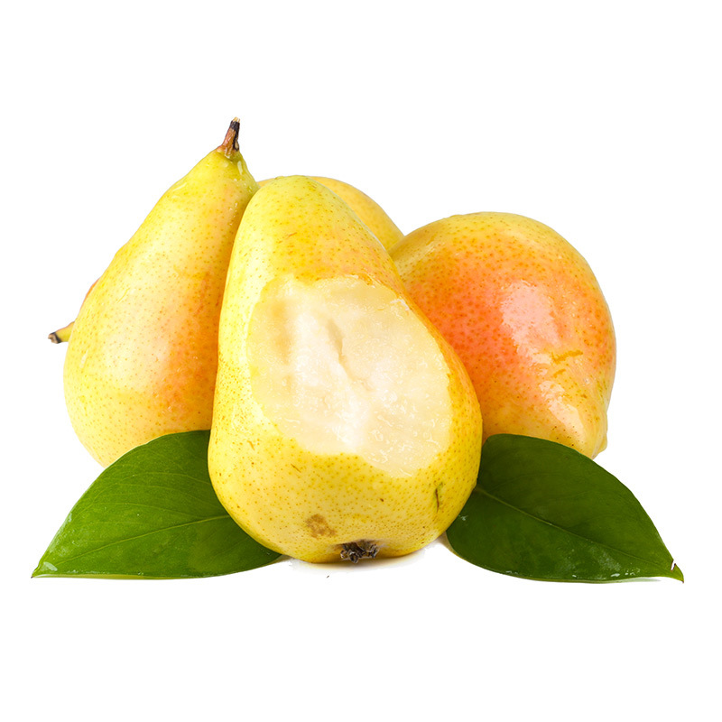 【应季款】烟台太婆梨 应季大头香蕉梨时令水果新鲜当季梨子代发