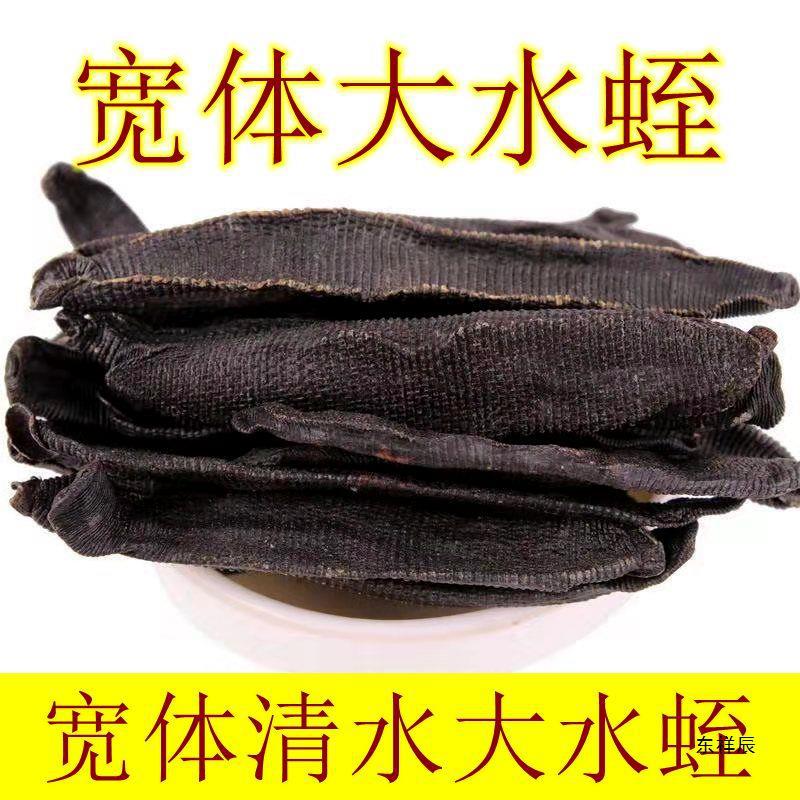 材野生水蛭蚂蝗干500克 宽体金线水蛭菲牛蛭 清水无盐无-阿里巴巴