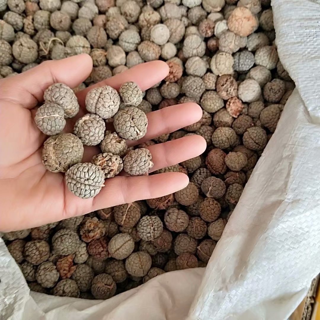 云南草寇草豆蔻香料调味料每件500克