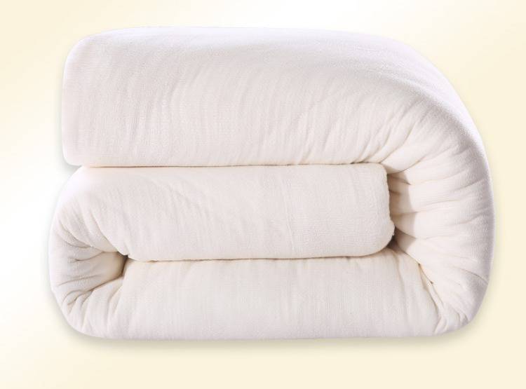 被子棉被子加厚冬被棉絮被褥子被芯垫被单人双人学生宿舍春秋棉被