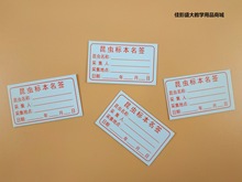 昆虫标签卡纸3X5cm昆虫标本名签采集标签50片/包科普展览收藏