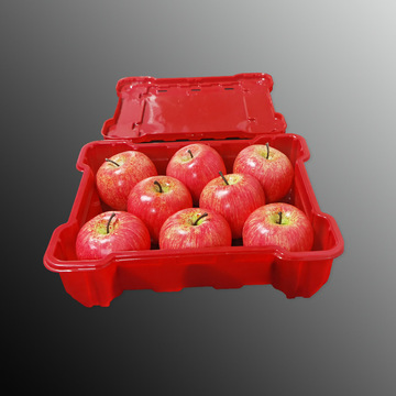 1500g一次性水果包装盒 吸塑pet食品级塑料包装盒 红色一次性包装