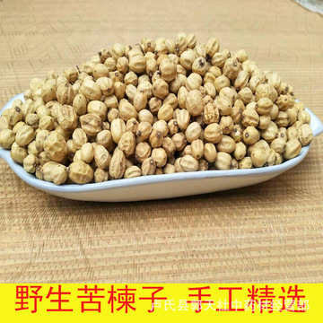 苦楝子 苦心子核 苦楝籽果核楝子豆粉批发各种中药材支持一件代发