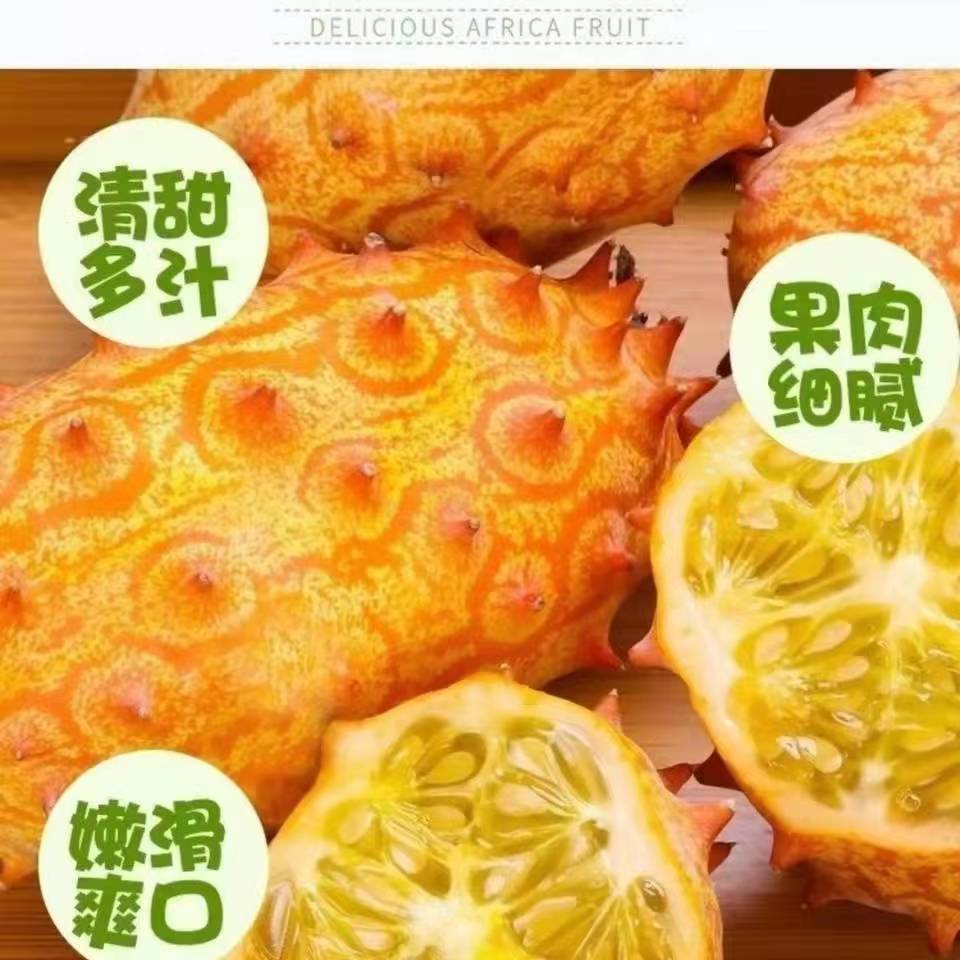 火参果种子籽非洲灭霸种籽刺角瓜火星果籽海参果特色水果种子