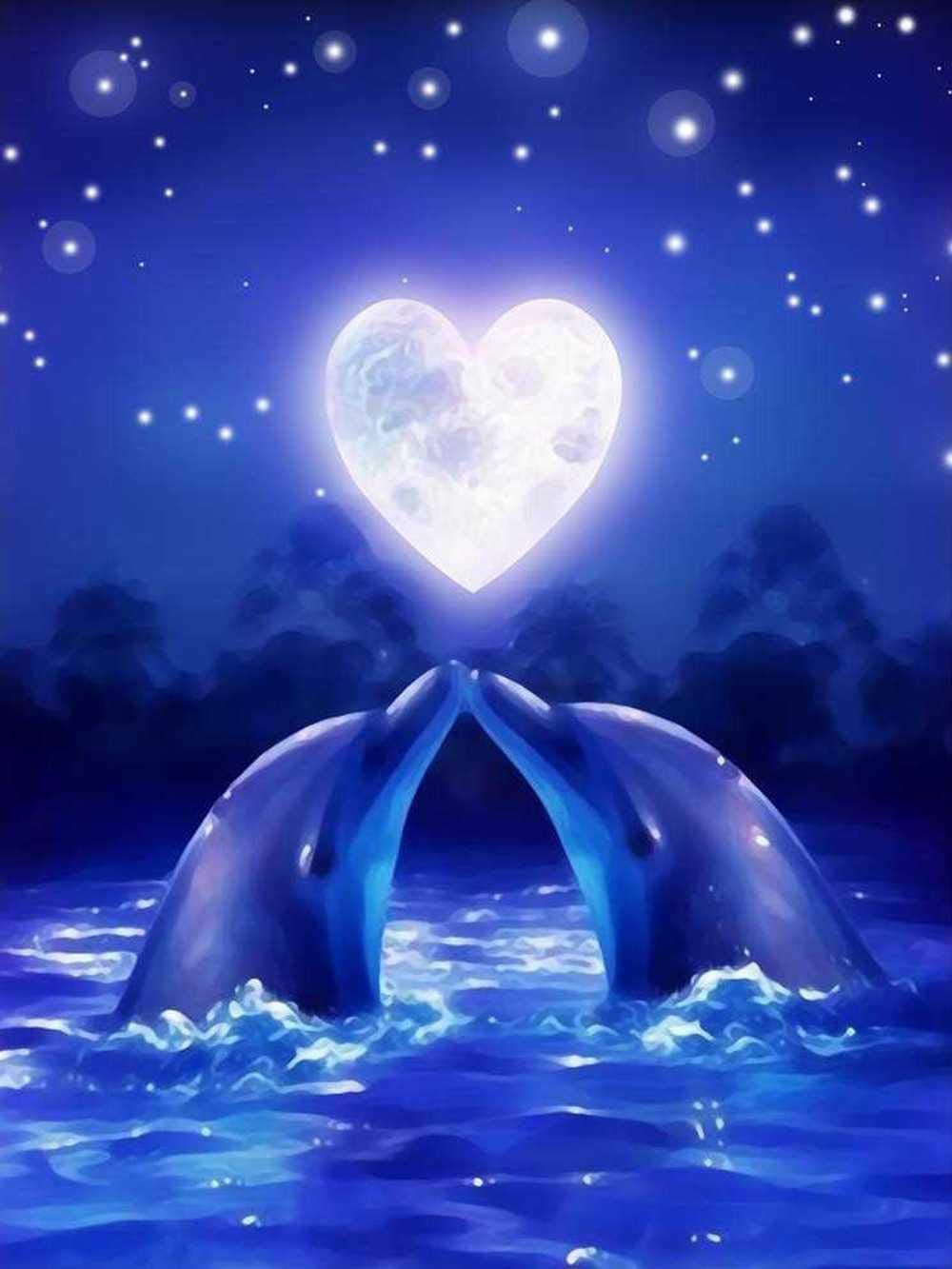 爱心海豚夜晚星空风景钻石画