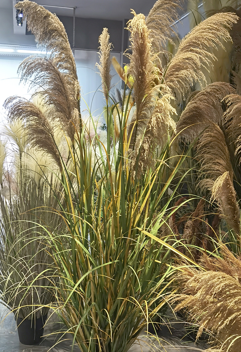 仿真芦苇狗尾巴草洋葱草大型植物盆景室内橱窗落地装饰绿植盆栽