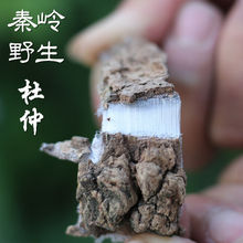 杜仲皮杜仲500g老树杜仲雄花茶男性泡酒茶100g