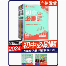 广东专用2024初中必刷题九年级下册语文数学英语物理化学历史政治