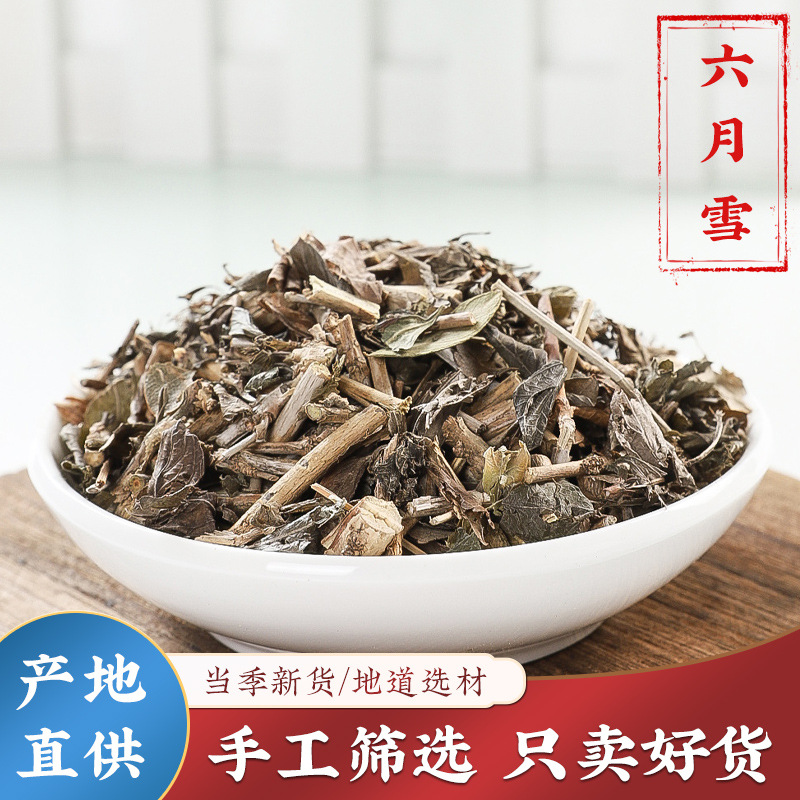 六月雪中药材500g路边金满天星白马骨硬骨柴自采正品中草药可批发