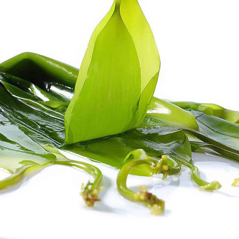 霞浦海带苗新鲜盐渍火锅食材凉拌海带嫩芽自产自销部分地区包运费