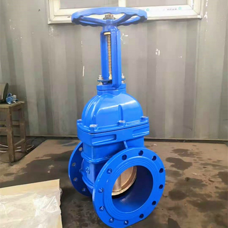 fz41t法兰铜芯明杆闸阀 球铁国标铜密封闸阀 鑫通达防护阀 现货