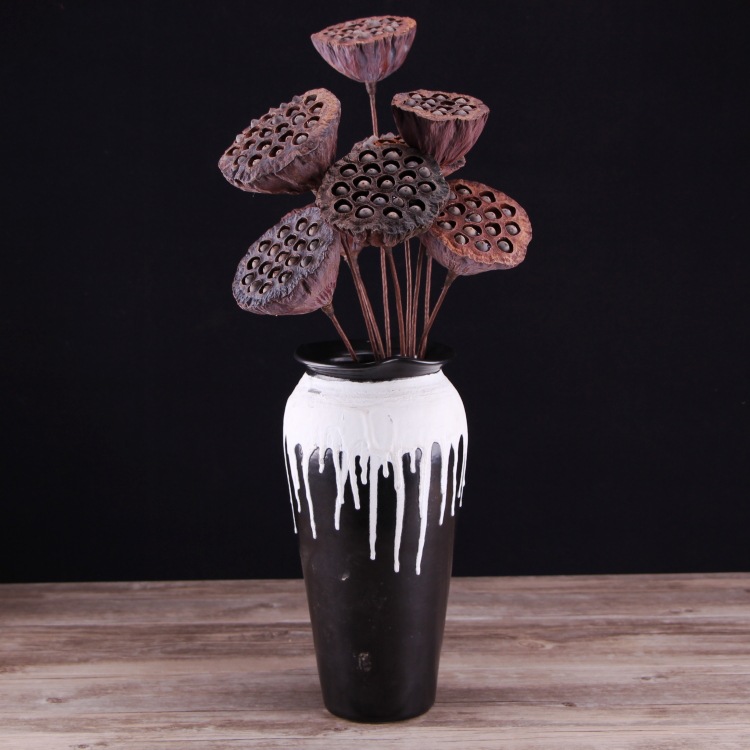 厂家直销莲蓬干花原生态干莲蓬摆设干花荷花小莲蓬拍摄道具插花摆