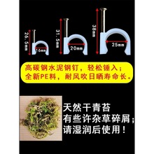 蔷薇花爬藤固定器月季爬墙钢钉卡扣植物枝条墙面牵引固定夹室外