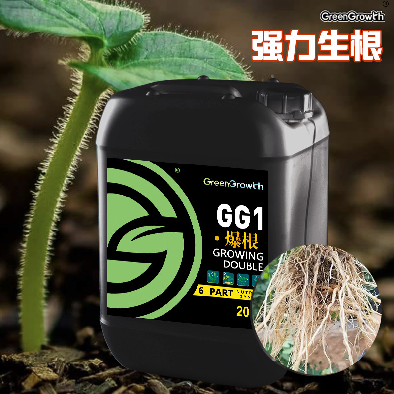 荷兰进口海藻肥爆根改良土壤生根壮秧强力生根生物有机有益菌肥