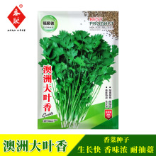 澳洲大叶香菜 10g 阳台盆栽菜园庭院四季种 香荽胡荽芫荽厂家批发