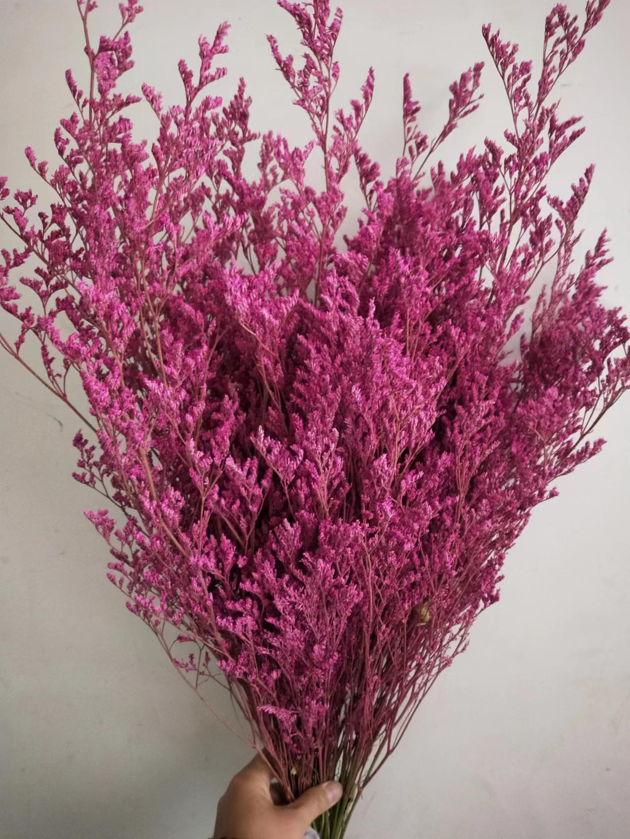 【情人草】情人草干花 染色情人草 情人草鲜花 干花花束 干花批发