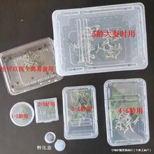 学生养蚕盒子全套大蚕透气孔饲养箱透明观察器孵化小蚕宝宝分养盒