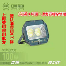 上海LED投光灯9090系列8088LED泛光灯50W 100W600W防水马路灯