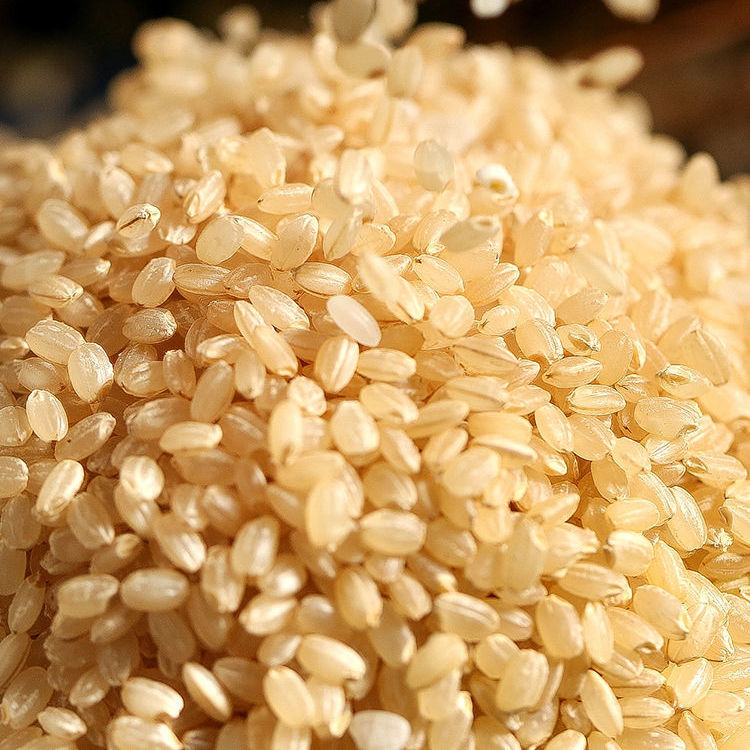 5kg三色糙米0618.0成交38件广州市白云区松洲宏聚贵